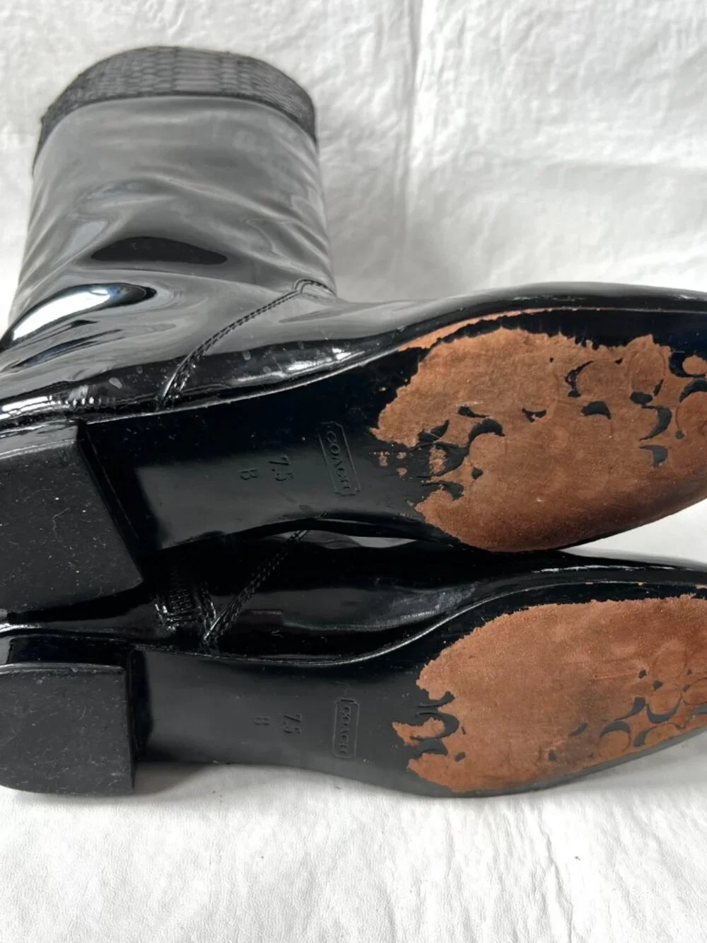 Coach fresna boots